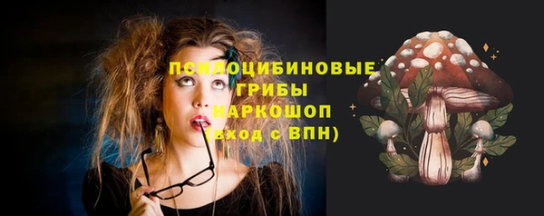 твердый Каменногорск