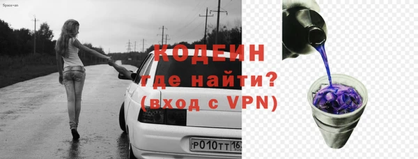 мдпв Каменка