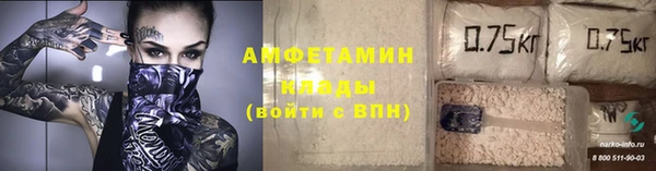 мдпв Каменка