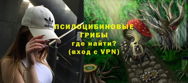 твердый Каменногорск