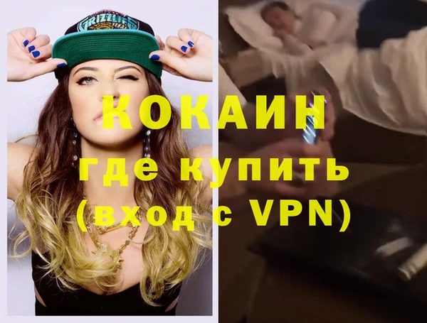 мдпв Каменка