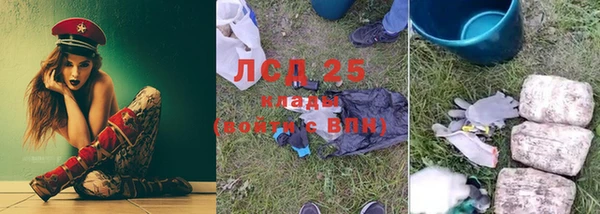 мдпв Каменка