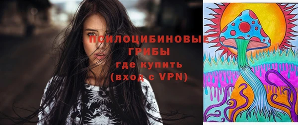 твердый Каменногорск