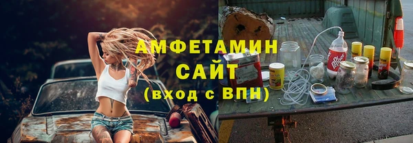 мдпв Каменка
