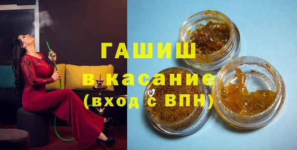 мдпв Каменка