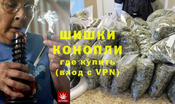 винт Инта