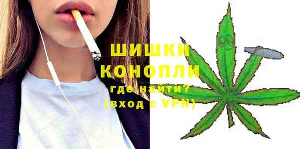 винт Инта