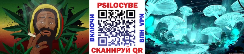 Купить  Боровичи  Псилоцибиновые грибы Cubensis 